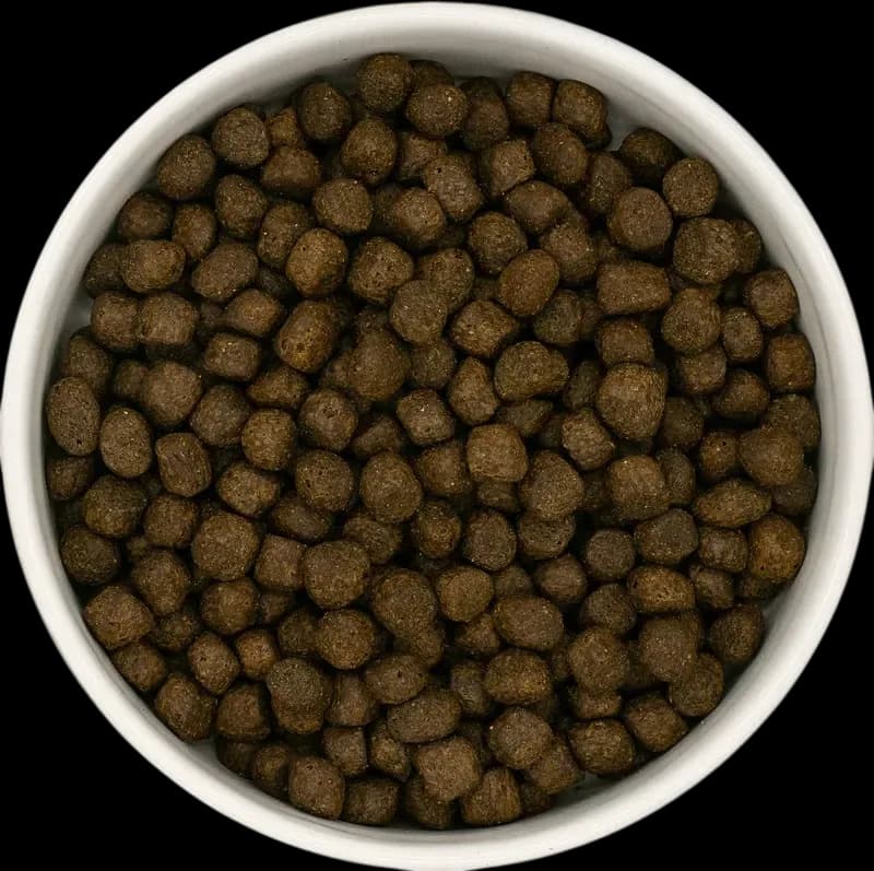 Łosoś z plamiakiem, białą rybą, batatami i szparagami - szczenię - 2kg - zdjęcie 3
