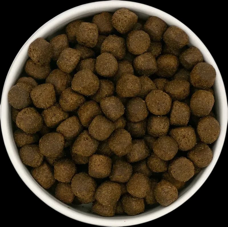 Łosoś z batatami i warzywami - szczenię duża rasa - 2kg - zdjęcie 3